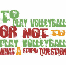 To Play Volleyball photo sculptures