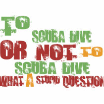To Scuba Dive photo sculptures by 1000suns To Scuba Dive photo sculptures