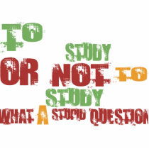 To Study photo sculptures