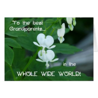 To the best Grandparents... card