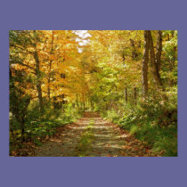 To The Forest posters