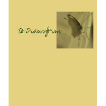 to transform... t-shirts by fatc_tsang to transform... t-shirts