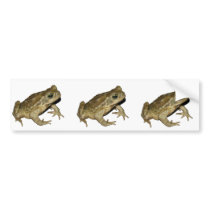 Toad bumper stickers by Nushka Toad bumper stickers