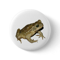 Toad buttons by Nushka Toad buttons