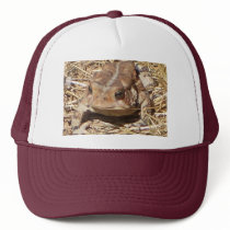Toad Cap hats
