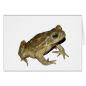 Toad cards by Nushka Toad cards