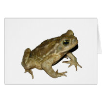 Toad cards by Nushka Toad cards