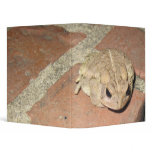 Toad Frog Binder