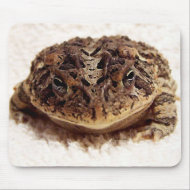 Toad frog close up photograph on white background mousepad