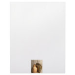 Toad frog holding miniature udu photograph letterhead