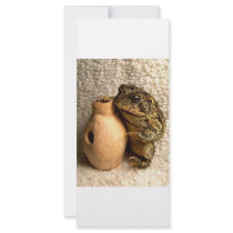 Toad frog holding miniature udu photograph rack card