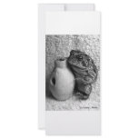 Toad frog holding udu percussion photograph personalized rack card