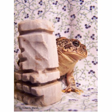 Toad frog marble chess piece prop flowered back acrylic cut outs