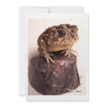 Toad frog on hand hammered copper cup photo custom invite