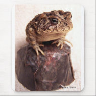 Toad frog on hand hammered copper cup photo mousepad