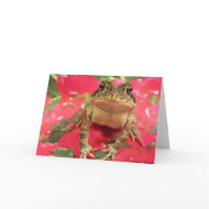 Toad frog standing up against bougainvillea back card
