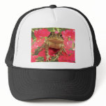 Toad frog standing up against bougainvillea back hat