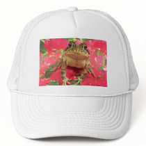 Toad frog standing up against bougainvillea back trucker hats