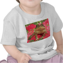Toad frog standing up against bougainvillea back tees