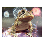 Toad frog standing up against firework background print
