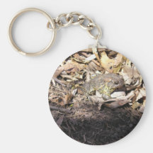 toad in mulch key chain