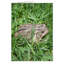 Toad in the Grass cards by Flam747 Toad in the Grass cards