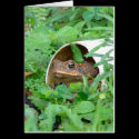 Toad in the Hole cards