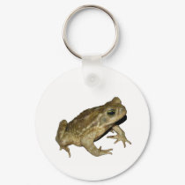 Toad keychains by Nushka Toad keychains