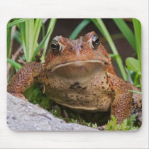TOAD mousepads by clarachandler TOAD mousepads