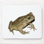 Toad Mouse Pads