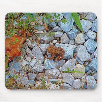 Toad on the Rocks Mouse Pads by hcbellino