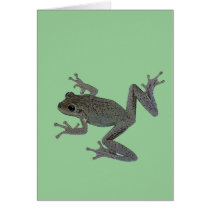Toad Pet cards