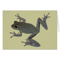 Toad Pet cards