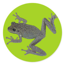 Toad Pet stickers