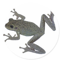 Toad Pet stickers