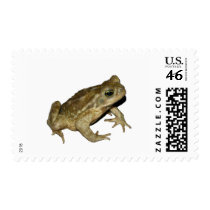 Toad Stamps