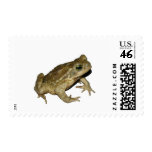 Toad postage
