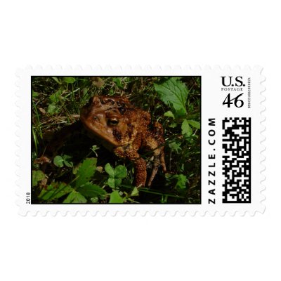 Toad Stamp by shinaweh
