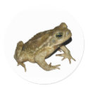 Toad stickers by Nushka Toad stickers