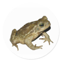Toad stickers