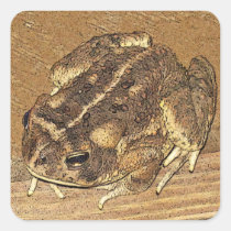 Toad Sticker! stickers