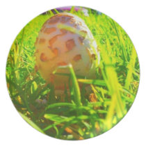 Toad Stool Mushroom Plate