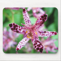 Toadlily Mousepad mousepads