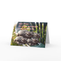 Toads birthday-customize cards by MakaraPhotos Toads birthday-customize cards