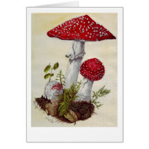 Toadstool Greeting Card