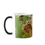Toadstool Mug