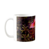 Toadstool Mug Patterns of Nature