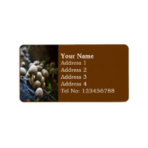 Toadstool Patch Address label (M) labels