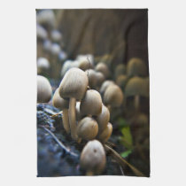 Toadstool patch kitchen Tea towel american mojo kitchen towels