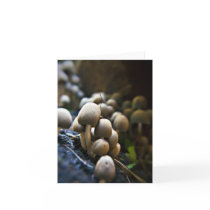 Toadstool Patch note card cards